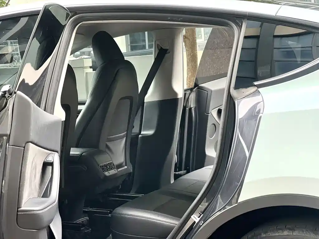 Tesla Model Y — миниатюра 10