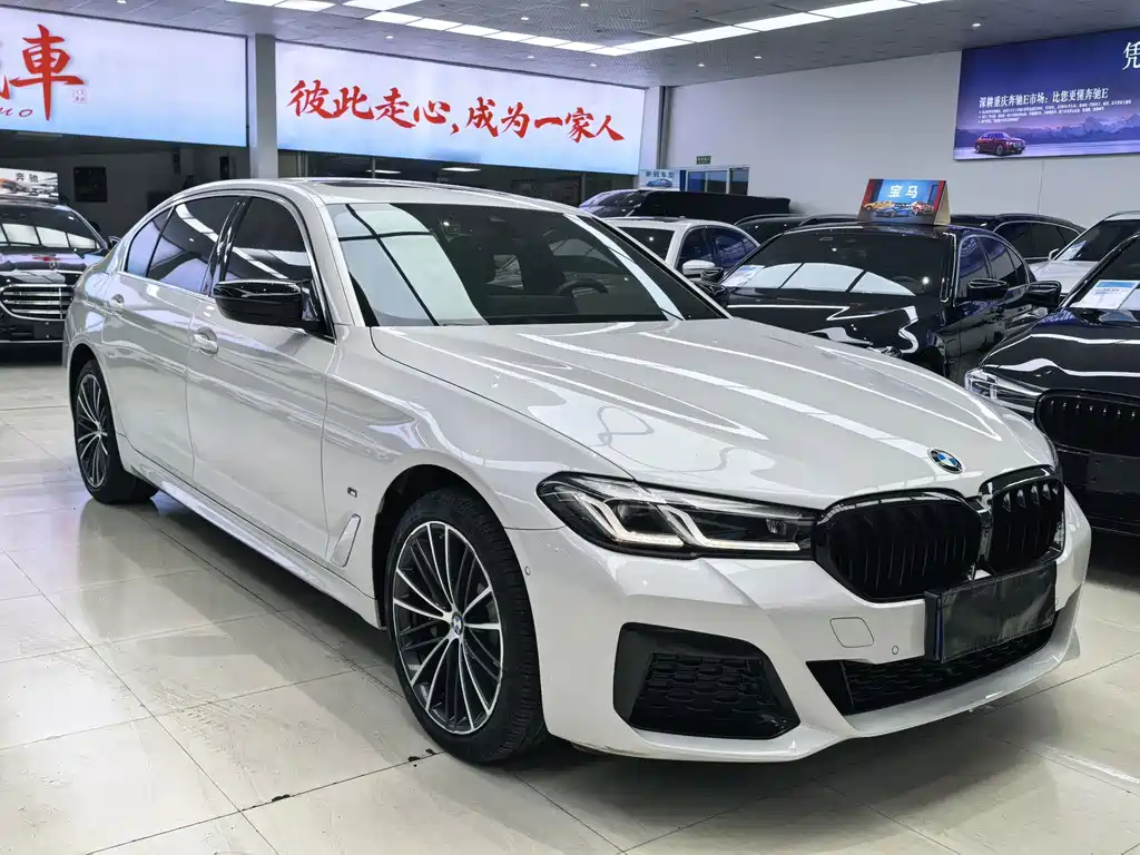 BMW 5 Series — миниатюра 2