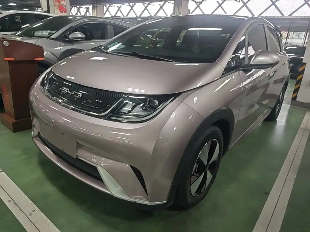 BYD Dolphin — миниатюра 2