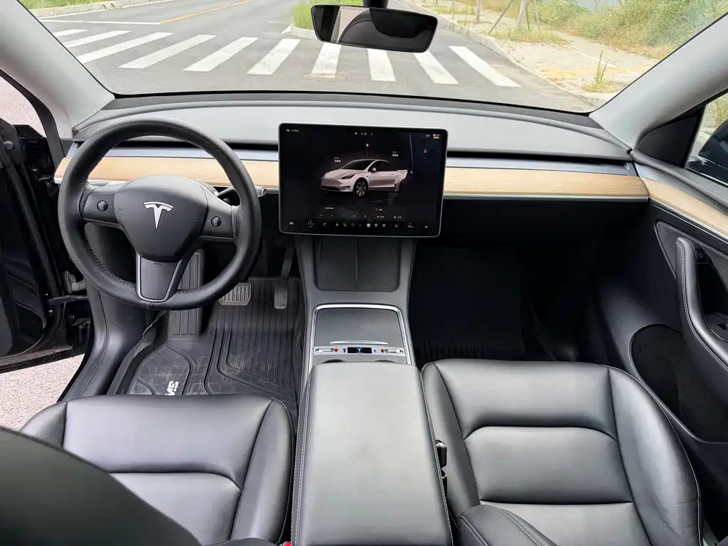 Tesla Model Y — миниатюра 2