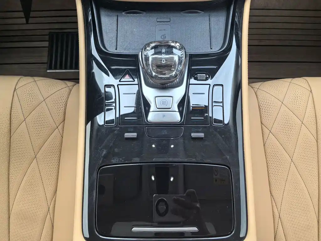Denza Denza D9 — миниатюра 20