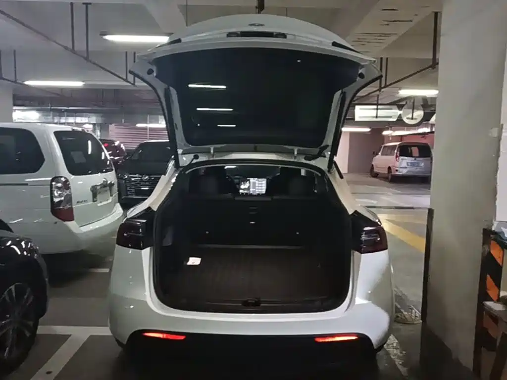 Tesla Model Y — миниатюра 19