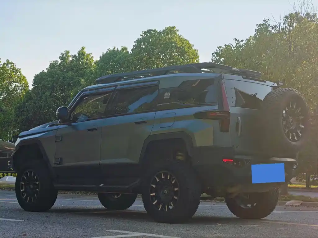 Mengshi Mengshi 917 — миниатюра 6