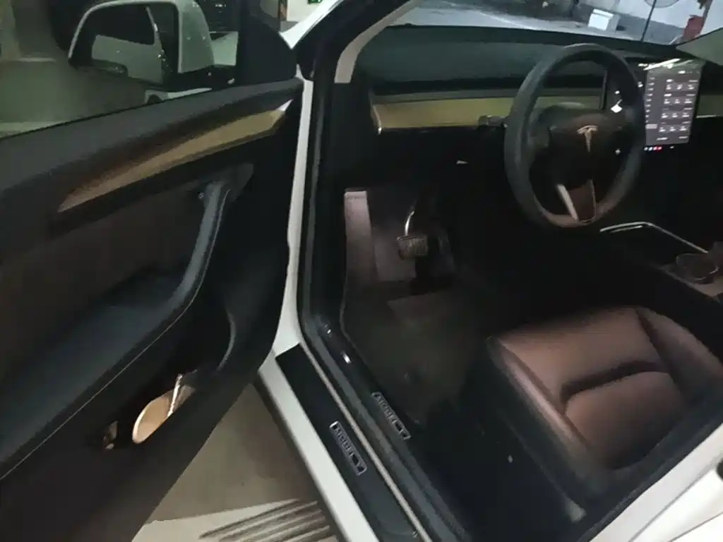 Tesla Model Y — миниатюра 16
