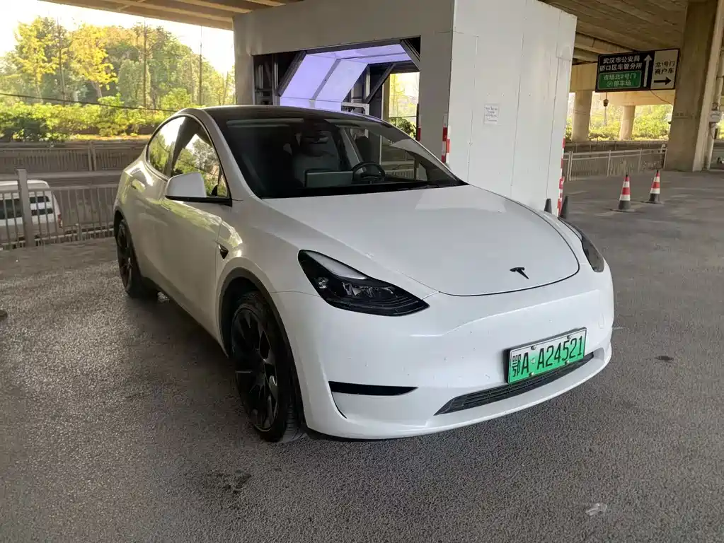Tesla Model Y — миниатюра 3