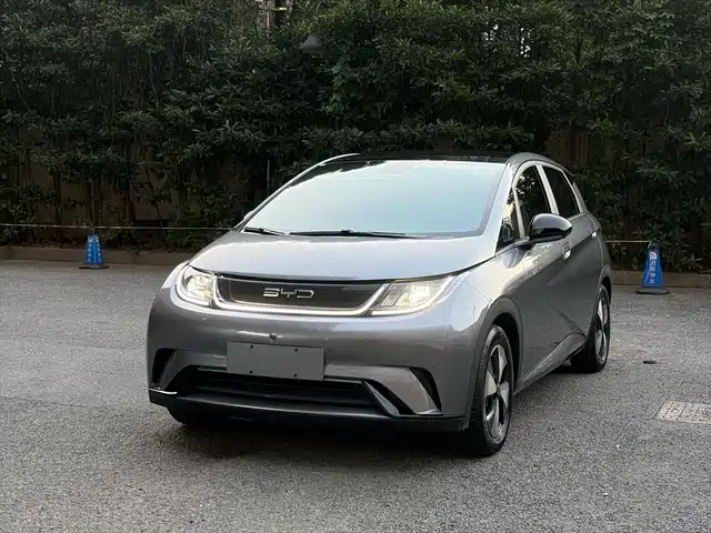 BYD Dolphin