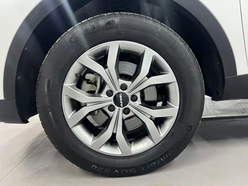 Haval H6 — миниатюра 7