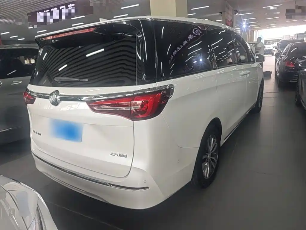 Buick GL8 — миниатюра 7