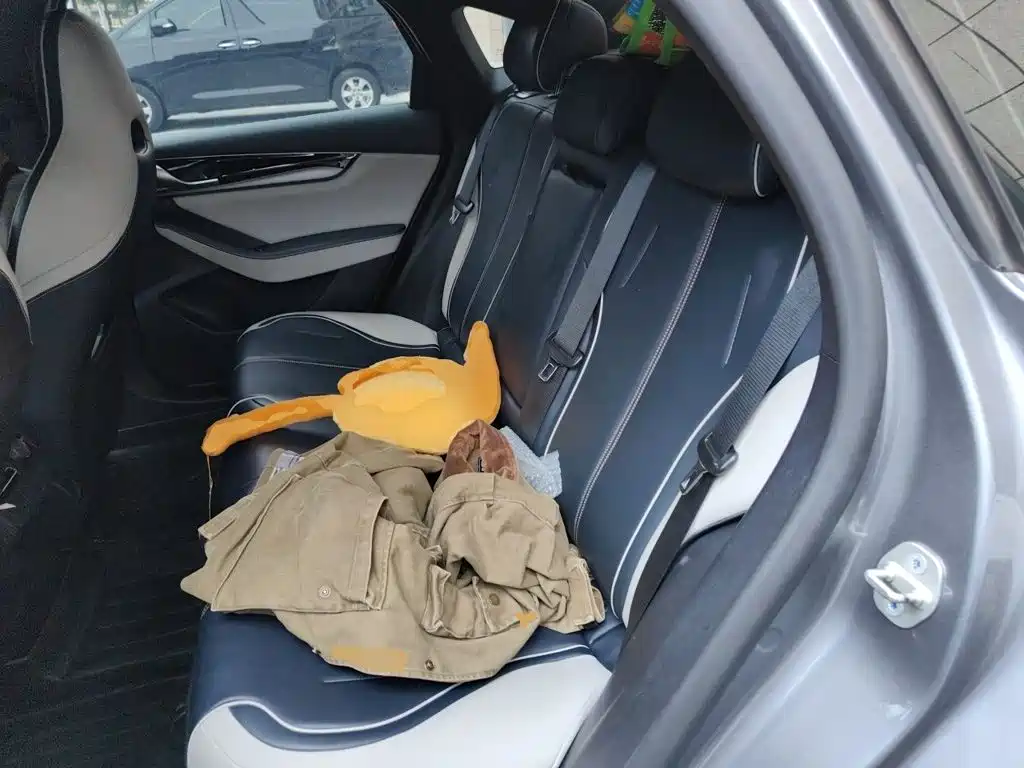 BYD Qin PLUS — миниатюра 18
