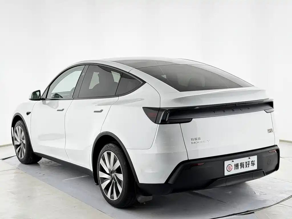 Tesla Model Y — миниатюра 12