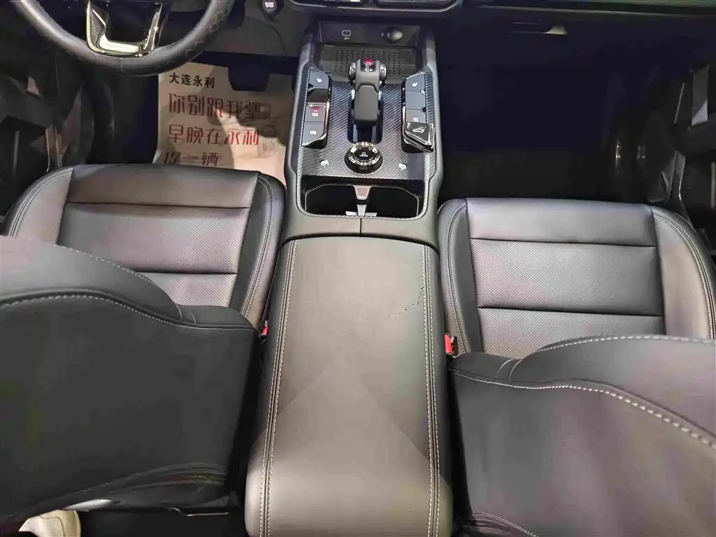 Haval Big Dog PLUS New Energy — миниатюра 9