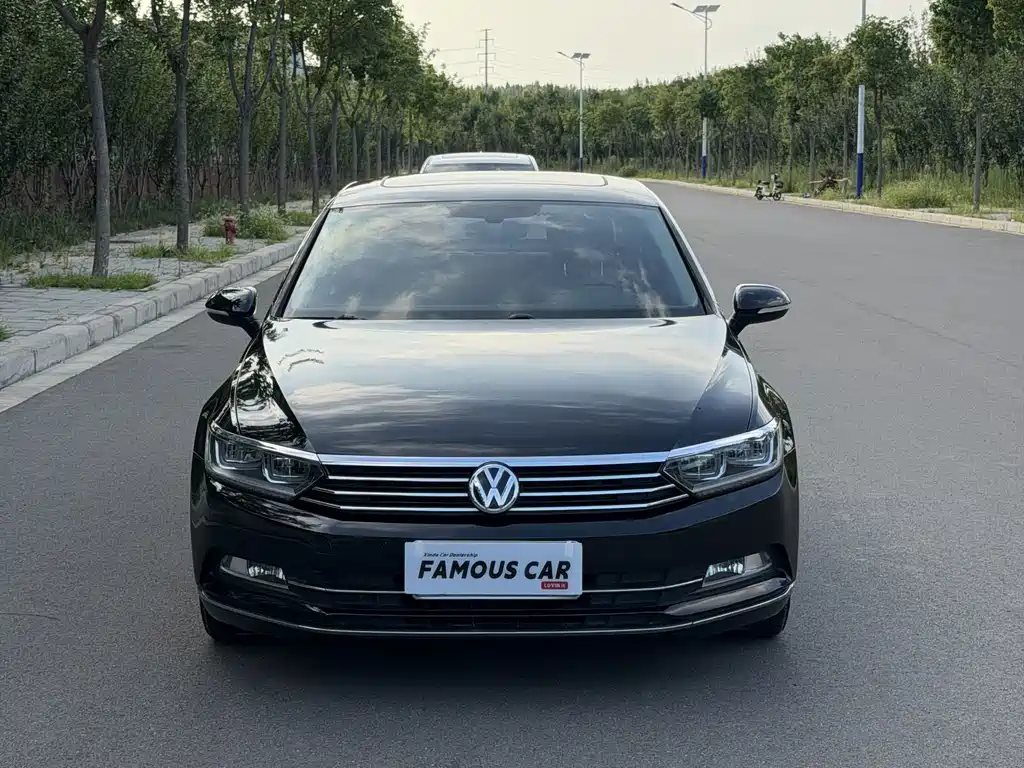 Volkswagen Magotan — миниатюра 2