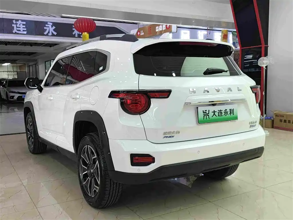 Haval Big Dog PLUS New Energy — миниатюра 17