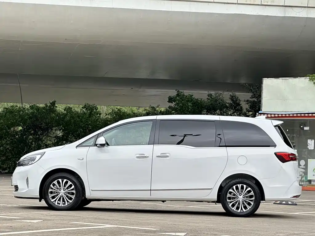 Buick GL8 — миниатюра 15