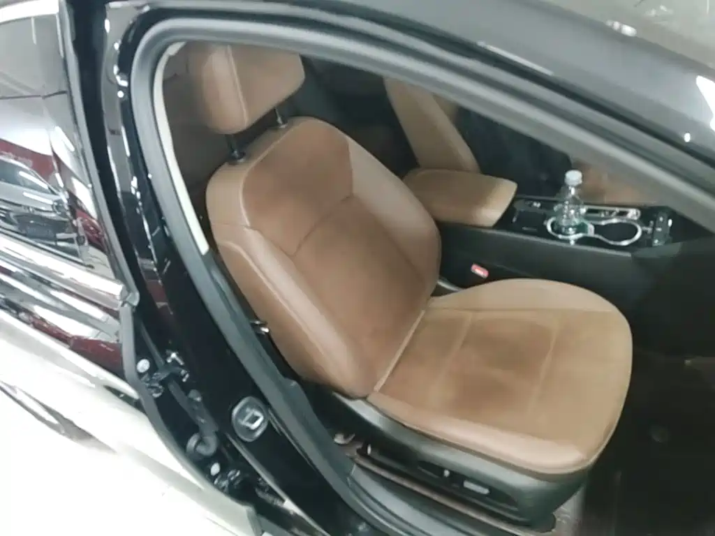 Buick Regal — миниатюра 25