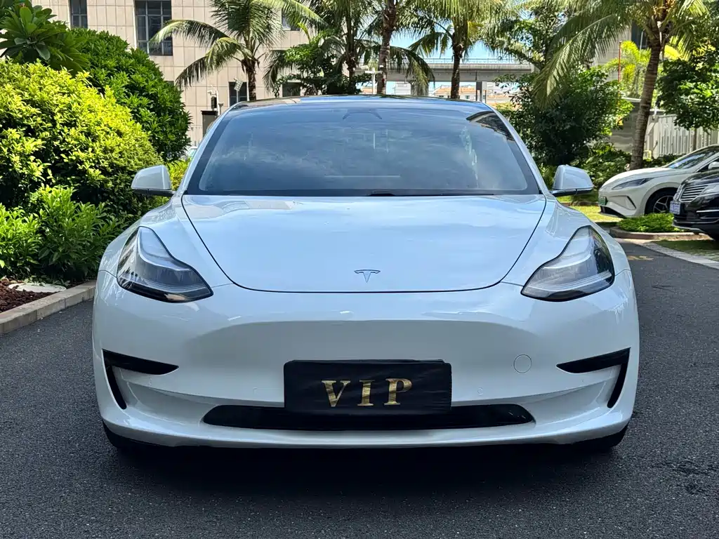 Tesla Model 3 — миниатюра 2