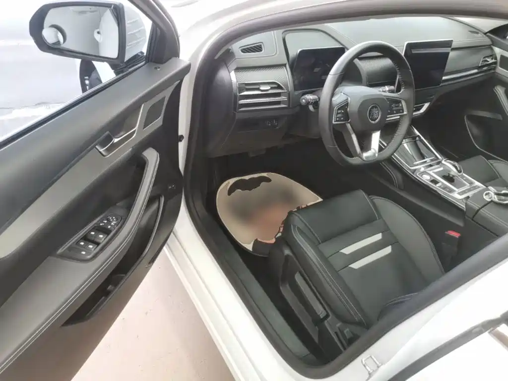 BYD Qin Pro NEV — миниатюра 16