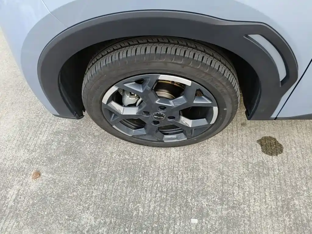 BYD Seagull — миниатюра 23
