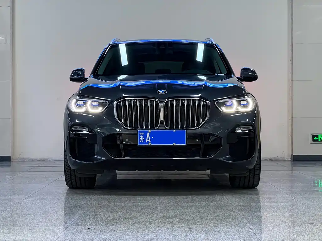 BMW X5 (Import) — миниатюра 2