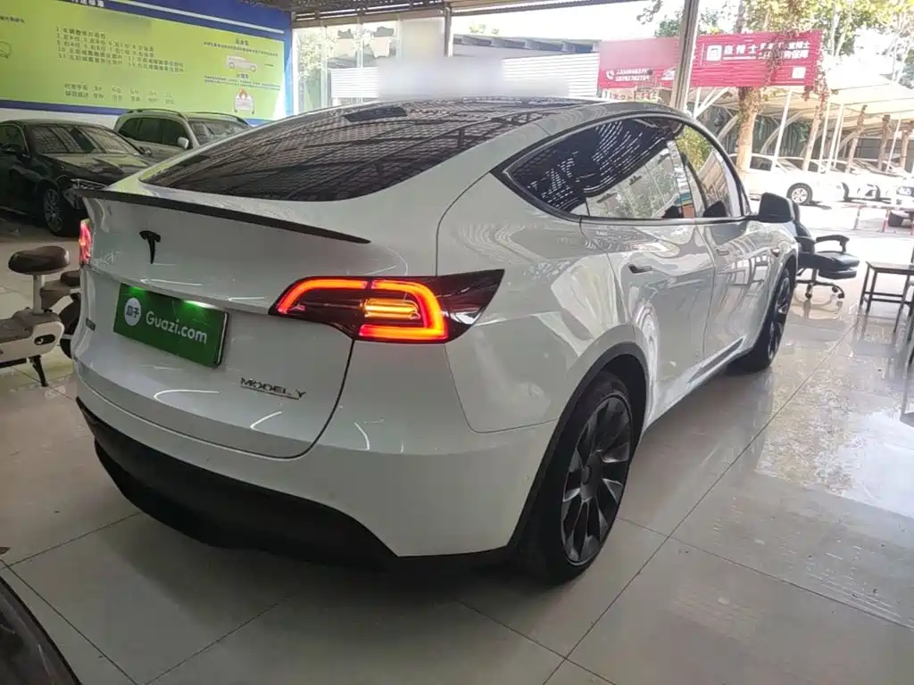 Tesla Model Y — миниатюра 7