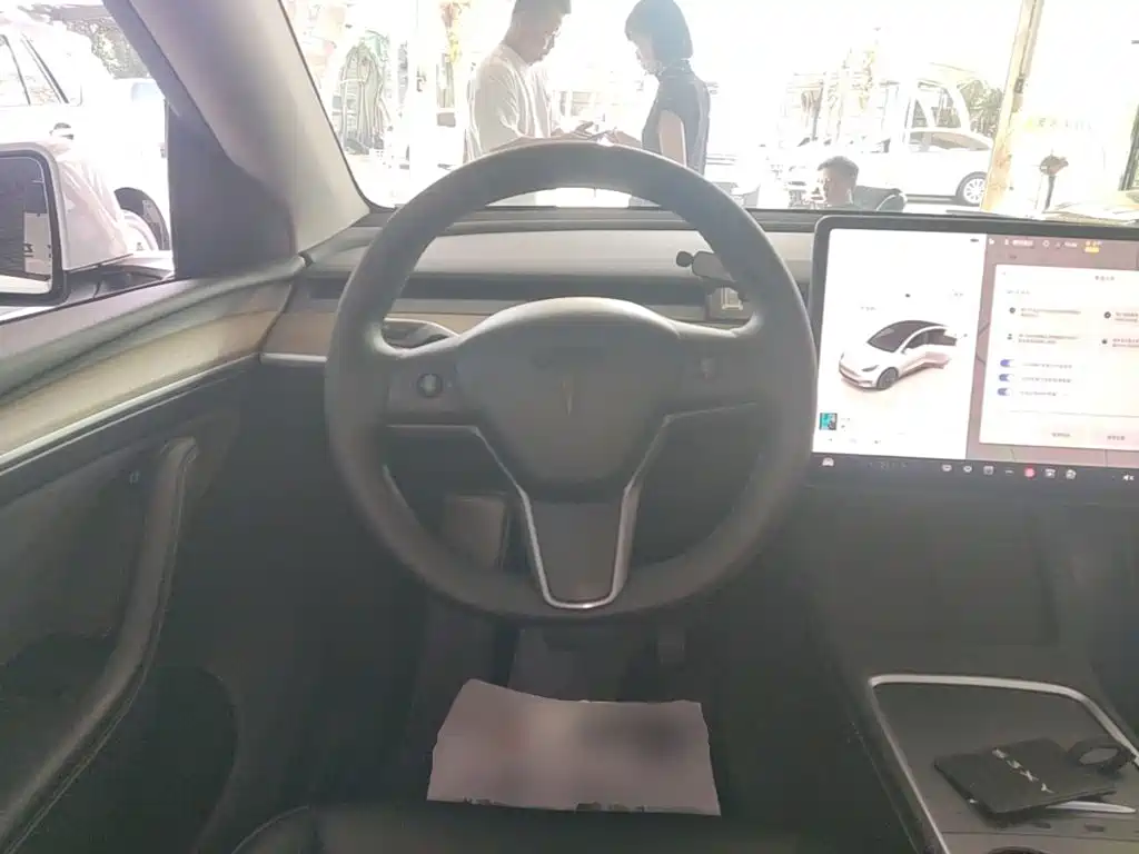 Tesla Model Y — миниатюра 11