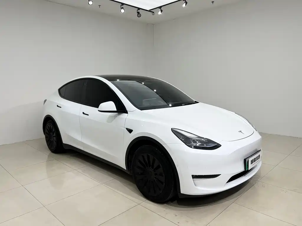 Tesla Model Y — миниатюра 3
