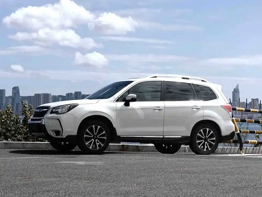 Subaru Forester — миниатюра 23