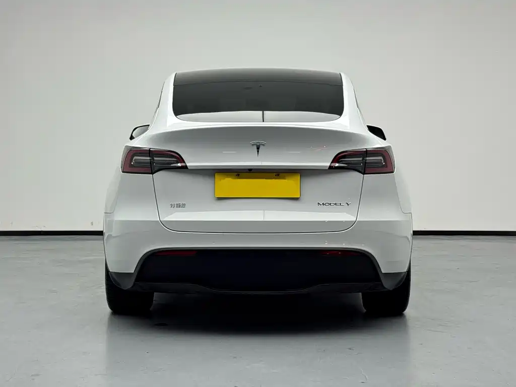 Tesla Model Y — миниатюра 6