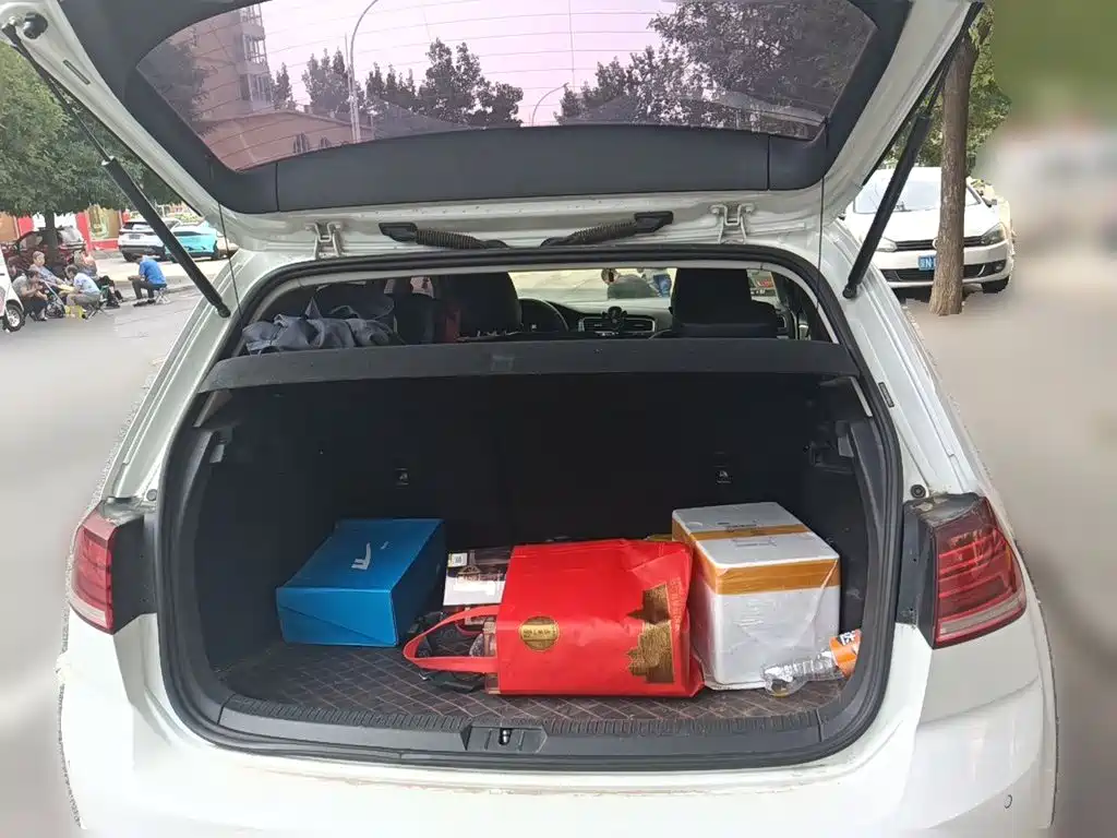 Volkswagen Golf EV — миниатюра 10