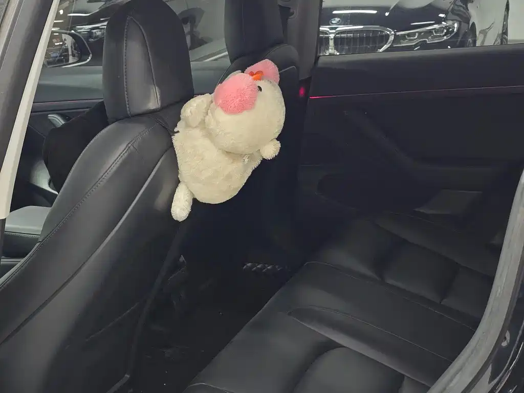 Tesla Model 3 — миниатюра 6