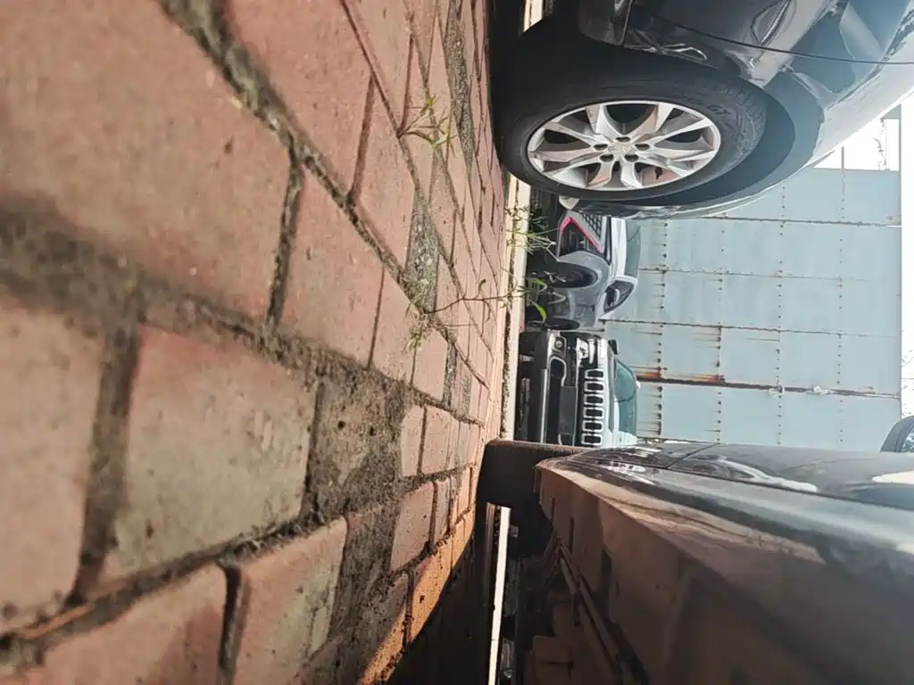 BYD Qin PLUS — миниатюра 22