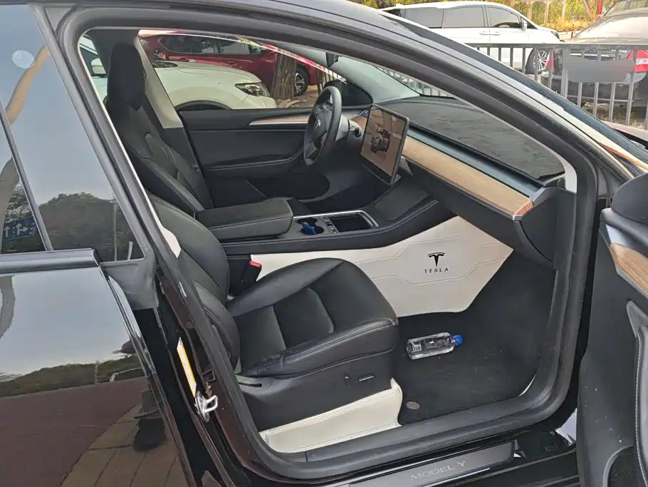 Tesla Model Y — миниатюра 7