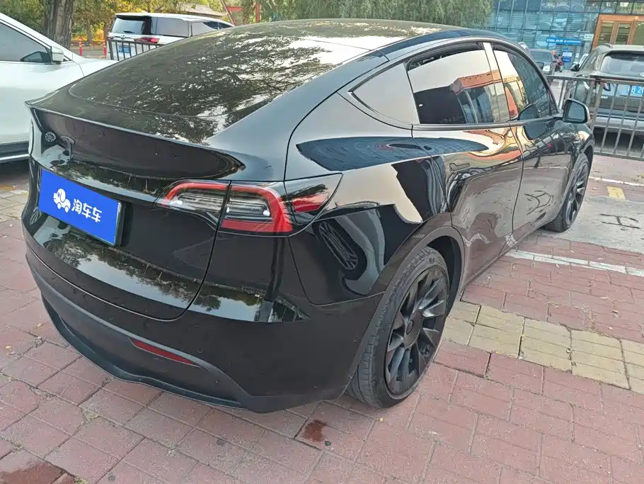 Tesla Model Y — миниатюра 2
