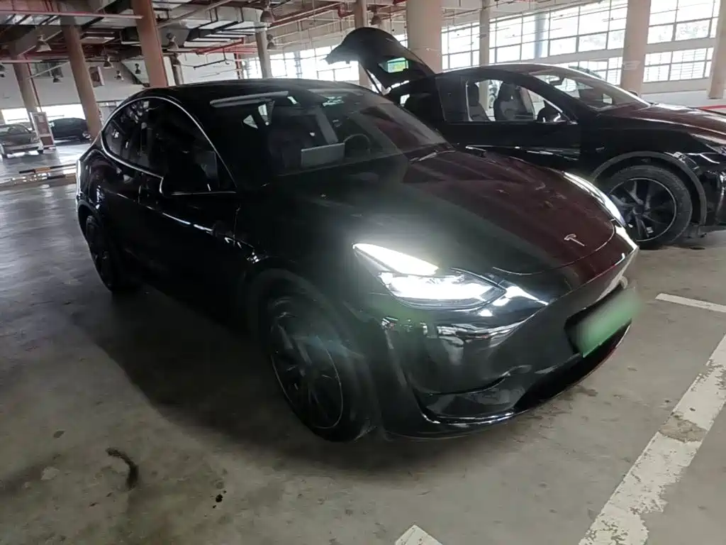 Tesla Model Y — миниатюра 4