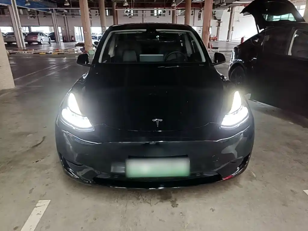 Tesla Model Y — миниатюра 3