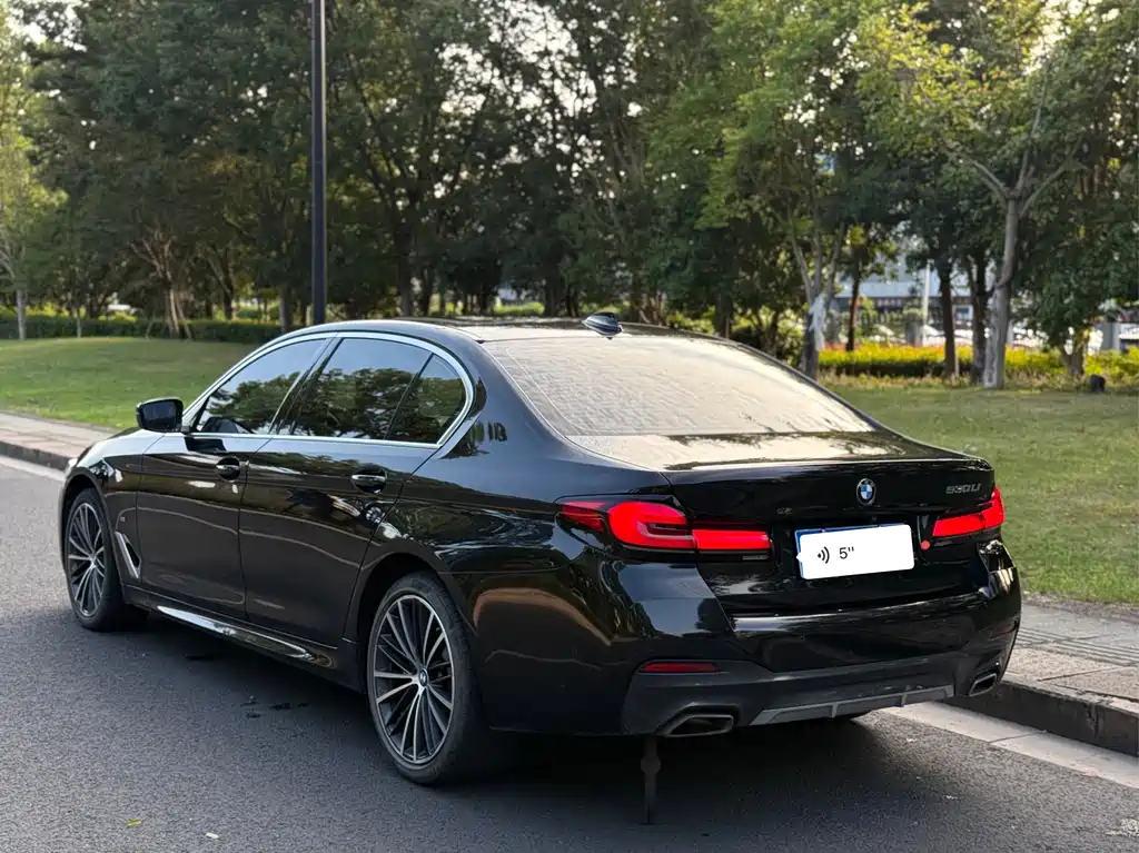 BMW 5 Series — миниатюра 5