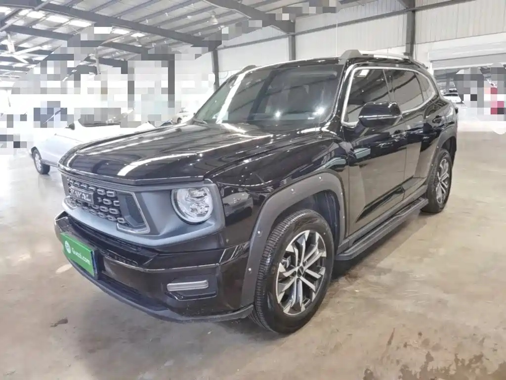 Haval Big Dog PLUS — миниатюра 2