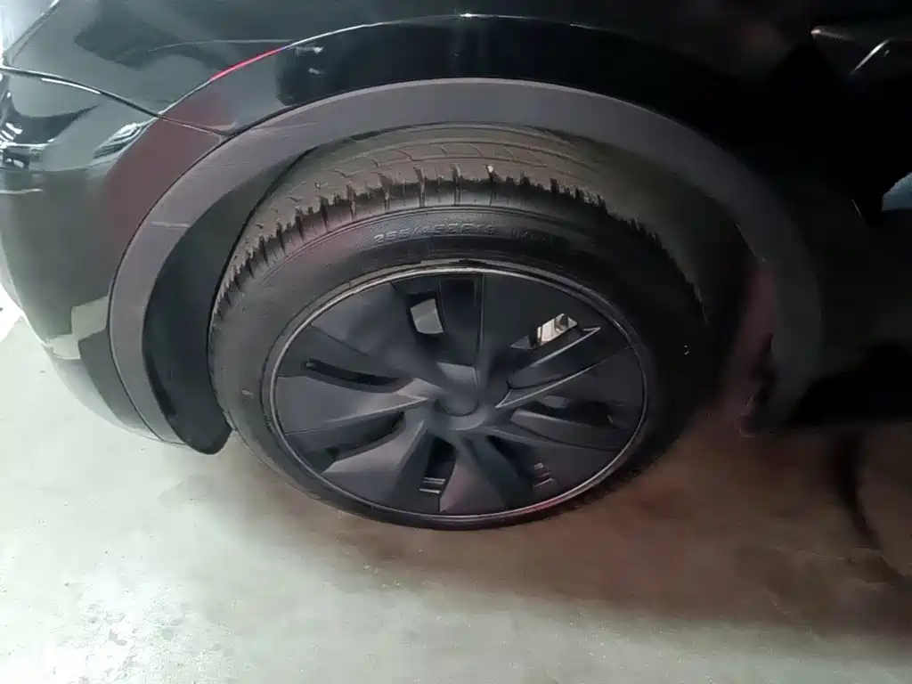 Tesla Model Y — миниатюра 23