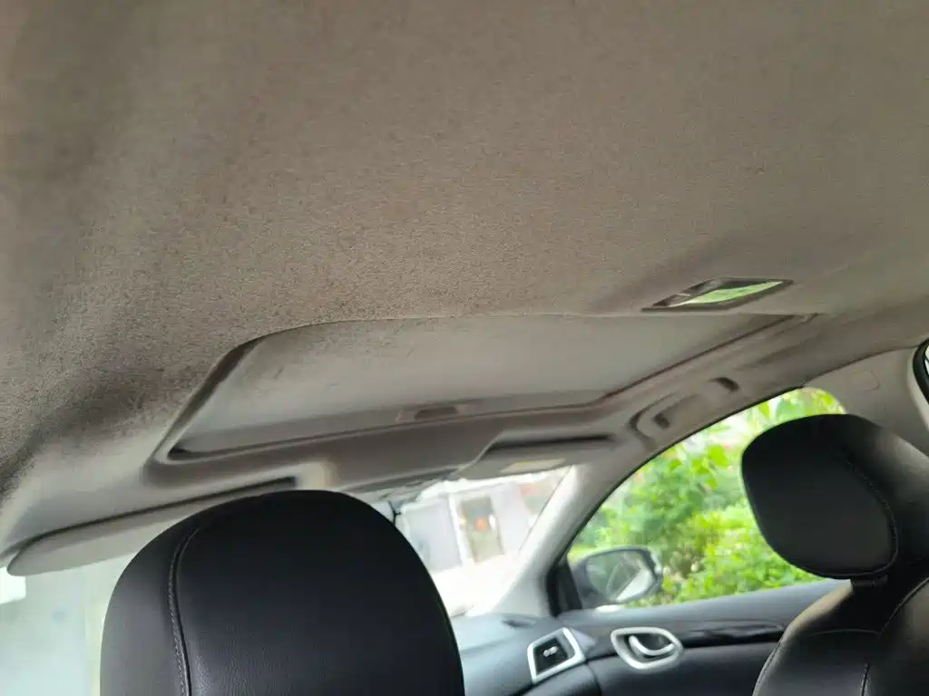 Nissan Sylphy 2018 1.6XV CVT Premium