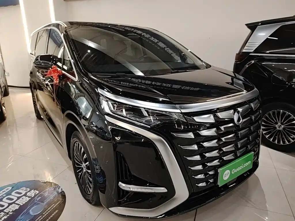 Denza Denza D9 — миниатюра 4