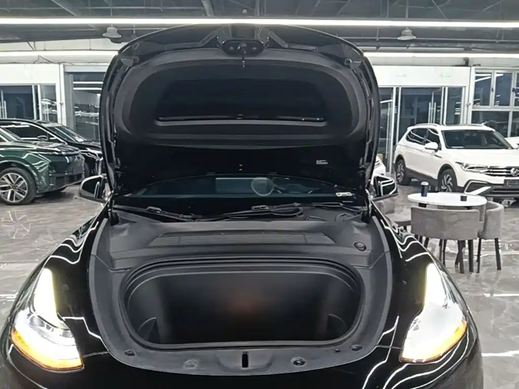 Tesla Model Y — миниатюра 20