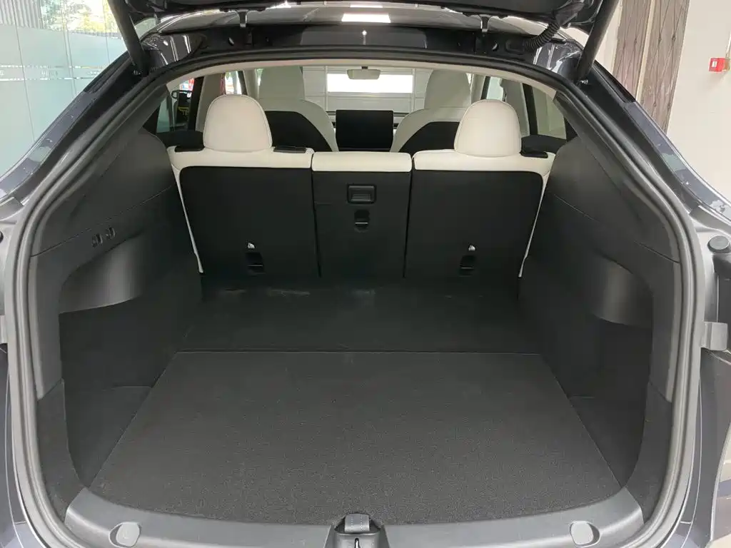 Tesla Model Y — миниатюра 26