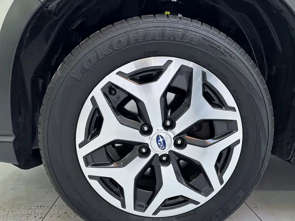 Subaru Forester — миниатюра 24