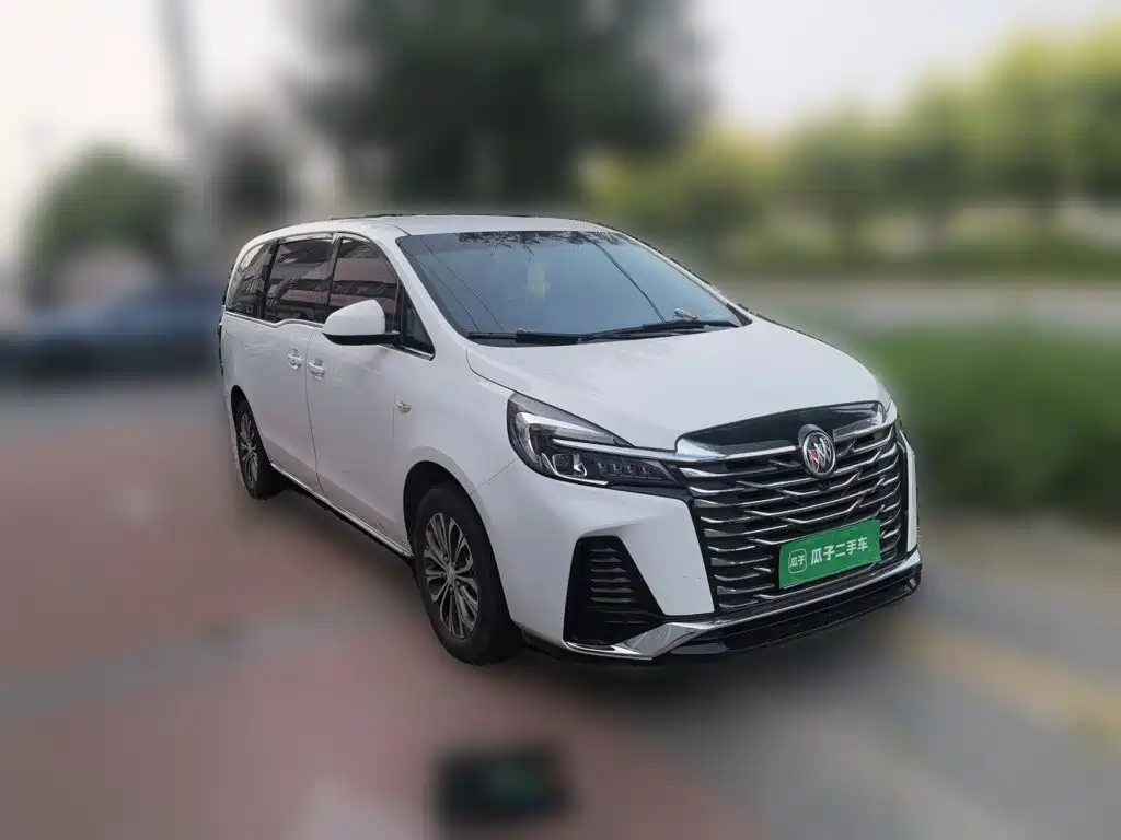 Buick GL8 — миниатюра 24