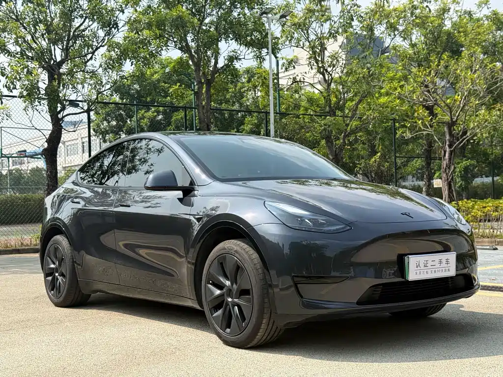 Tesla Model Y — миниатюра 3