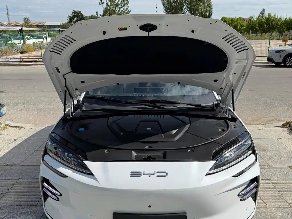BYD PLUS New Energy — миниатюра 6