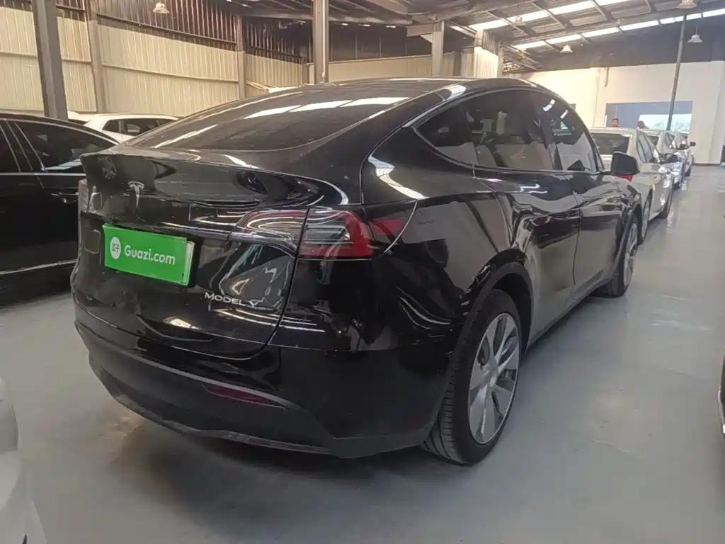 Tesla Model Y — миниатюра 7