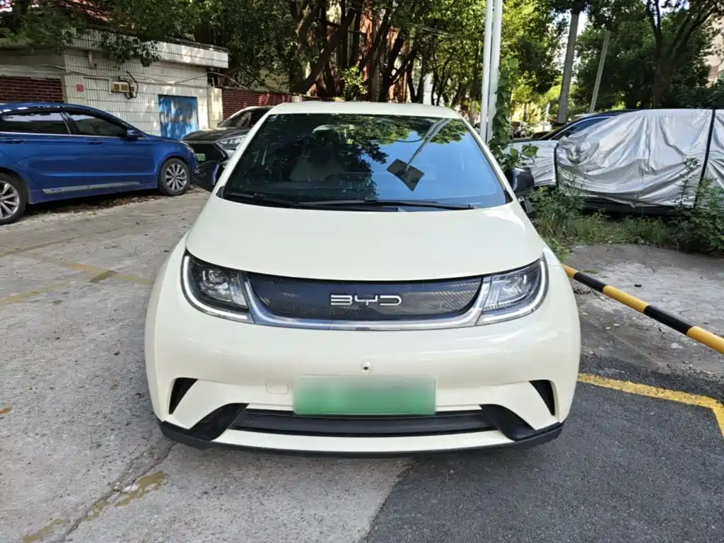 BYD Dolphin — миниатюра 3