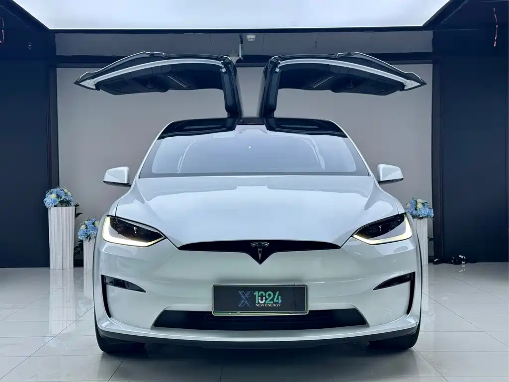 Tesla Model X — миниатюра 2