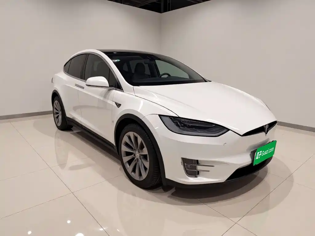 Tesla Model X — миниатюра 3